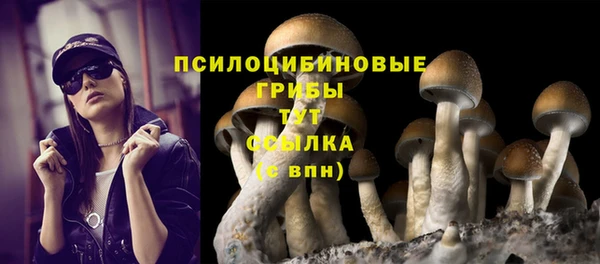 мдпв Лабытнанги