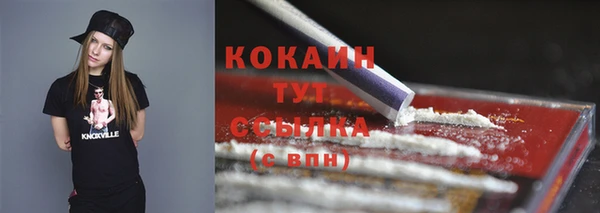 мдпв Лабытнанги