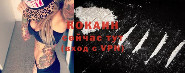 мдпв Лабытнанги