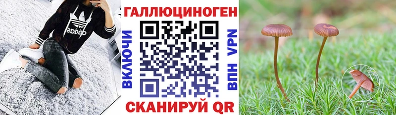 как найти закладки  это телеграм  Псилоцибиновые грибы MAGIC MUSHROOMS  Карабаново 